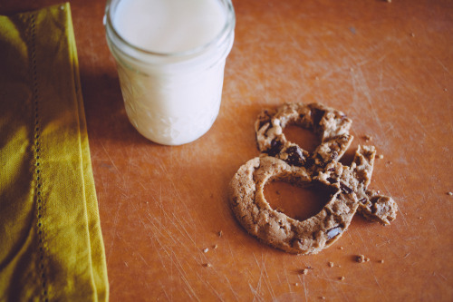 really-shit:Introducing This Ampersand (&) That Created by Emily Blincoe (Her Tumblr), This Ampe
