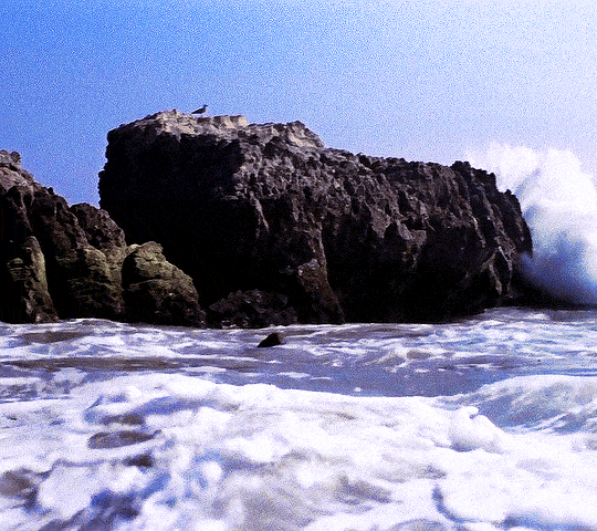 mulderscully: GREASE (1978) dir. Randal Kleiser