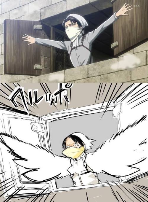 nicoception:  rivaillevi-heichou:  This is officially my favorite post.  tears were shed this day 