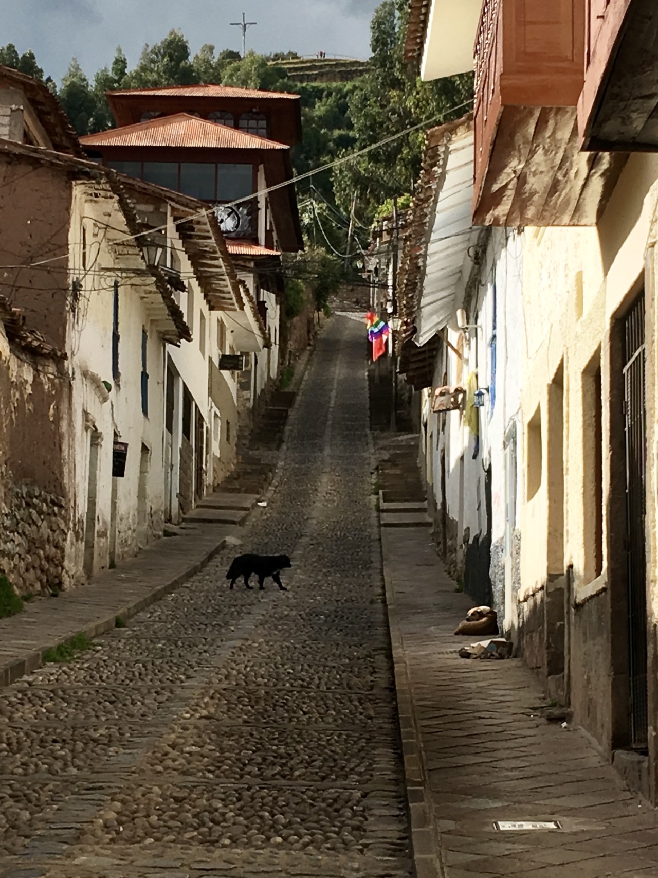 Calle con perros, Cusco, 2017.