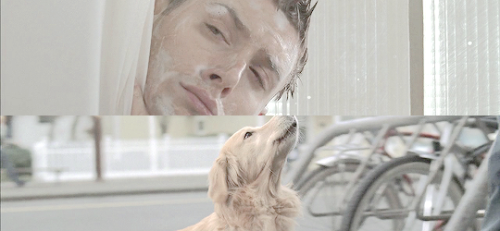 undercoverrockstarjensen:   “Okay. I’m listening. So, so – you think that you&rsqu