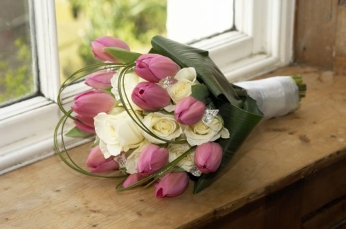 this-odd-in-me:   i would love to have some tulips <3 🌷🌷🌷  