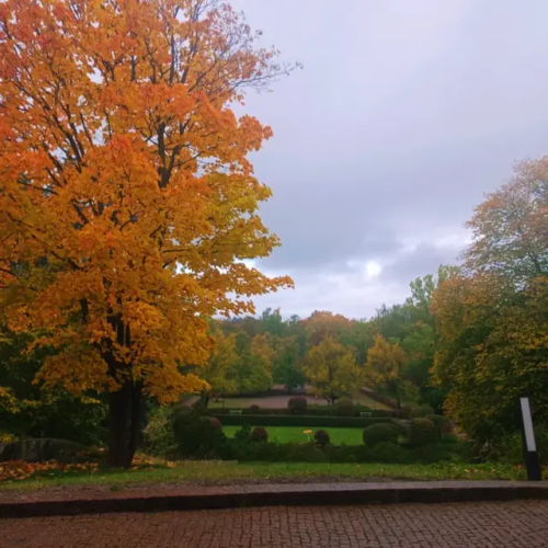 Just Compiled The Pictures I Have Taken This Fall So Far