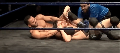 muscleandmeat - muscle worship