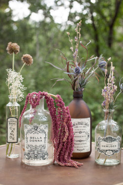 truebluemeandyou:  DIY Halloween Apothecary