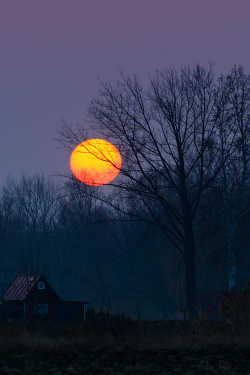 plasmatics-life:  Sunset ~ By Marek Caran