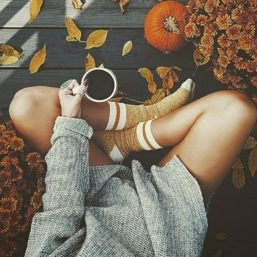 Autumn is there. Cozy atmosphere everywhere.