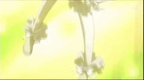 its-shugo-chara-time:  Tadase’s Character Transformation 
