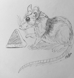 Greetings from Eurofurence Just a little something that came to my mind after a giant Toblerone was sold at the Eurofurence auction. I somehow remembered that you are Swiss (and as we all know, Swiss people love Toblerone!) and like rats, so in a spur