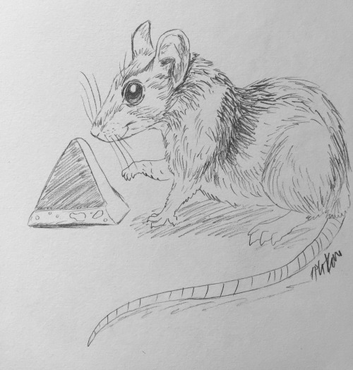 Greetings from Eurofurence Just a little something that came to my mind after a giant Toblerone was sold at the Eurofurence auction. I somehow remembered that you are Swiss (and as we all know, Swiss people love Toblerone!) and like rats, so in a spur