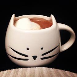 Om Nom! This #Kitty Loves #Hotchocolate!