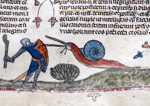 snailfight ‘The Smithfield Decretals’ (Decretals of Gregory IX with glossa ordinari