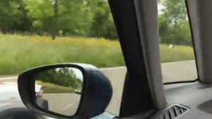 esp-el-nino:  Jos Verstappen - FA1 race car - On the road in Lelystad traffic! 