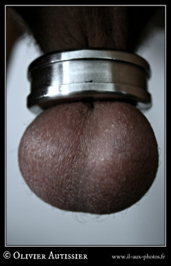 whipmeat:  life-as-slave:  slave balls  Master loves his slave to have ts balls heavy weighted, so that elongated sack can easier be tortured and educed to its only use: a toy Sir uses to inflict pain  Cbt is one of the best things hkipig knows.