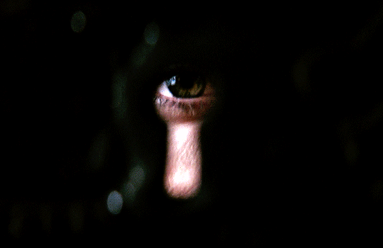 454cb6203efbd6cbe3eed5f7f682730005c3e0f2.gif