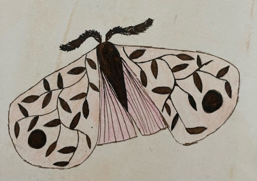 lesbianpandasworld - Queer Moth