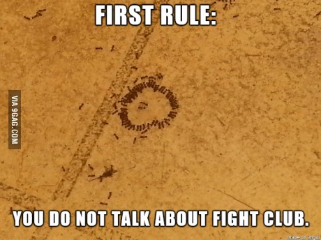 9gag:  Fight Club 