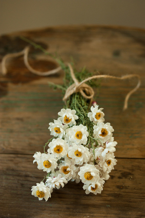 a-life-with-purpose:  I find this way cuter than a bundle of roses.  It says “Here,