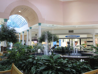 djbandwidth:  Biltmore Mall, Asheville North Carolina. The death of palm paradise-