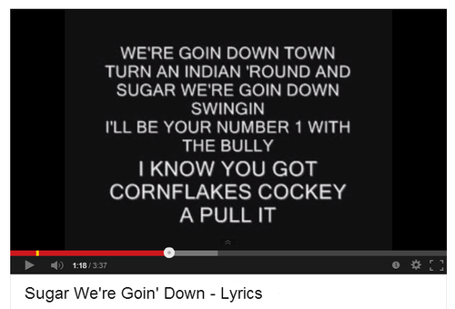 nostalgicnap:  paleyetpretty:  hellobrendonurie:  infinity-a-deux:  rabioheab:  the people who make lyric videos on youtube are the backbone of this nation  where’s the picture of that sugar we’re going down lyric video    do u realize how hard im