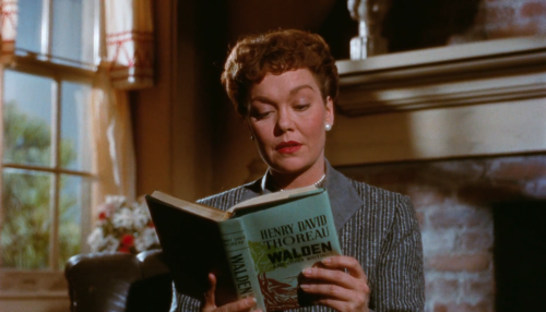 All That Heaven Allows (Douglas Sirk, 1955)