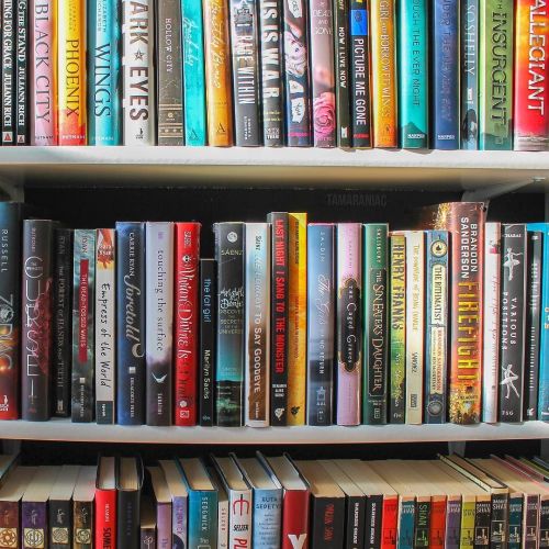 tamaraniac:  I will always love browsing bookstore shelves.