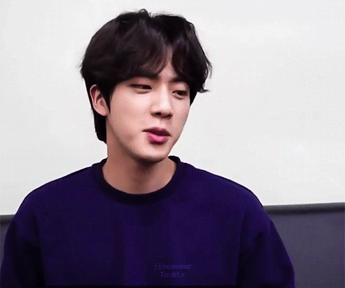 1/100 Days Of Kim Seokjin