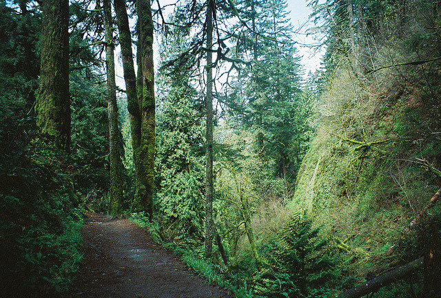 n-c-x:   arquerio:  untitled by marybeth joy on Flickr.  nature blog 