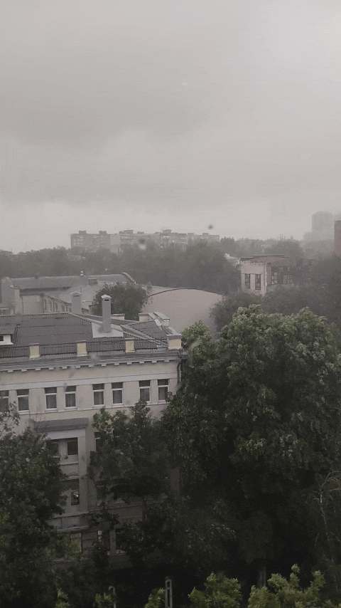 🌿🏢🌧️🍃☁️
