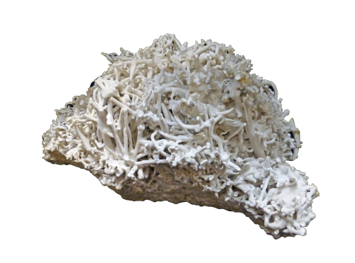 Aragonite