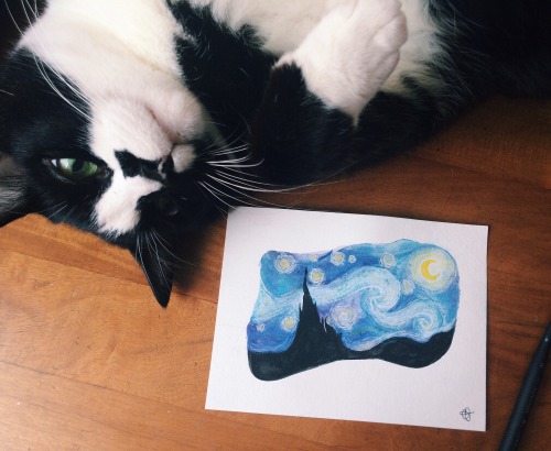 i know i’ve done a good job when my cat looks like he’s approving it