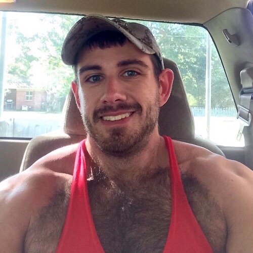 bigianh:  Best big eared bear ever   Handsome and HOT… I also like them ears…..
