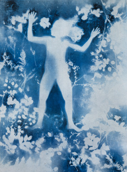 joeinct: Untitled, Lifesize Blueprint Photogram