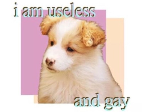 were-all-queer-here: My aesthetic