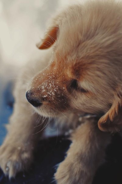 Paz, Amor e Empatia