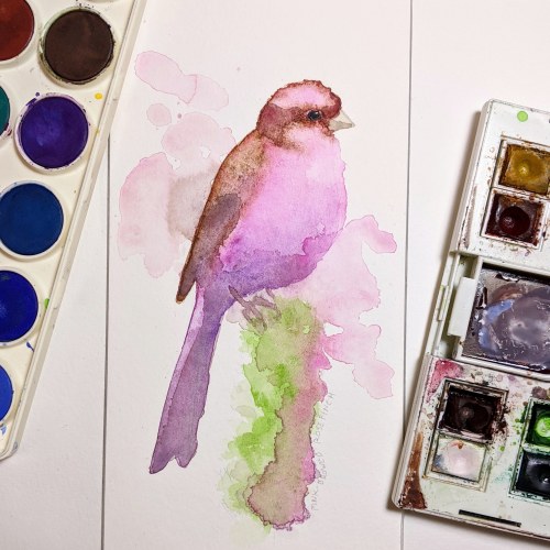 A few months ago @elleskinner wanted a subject to break in her new watercolors with, and I was (and 