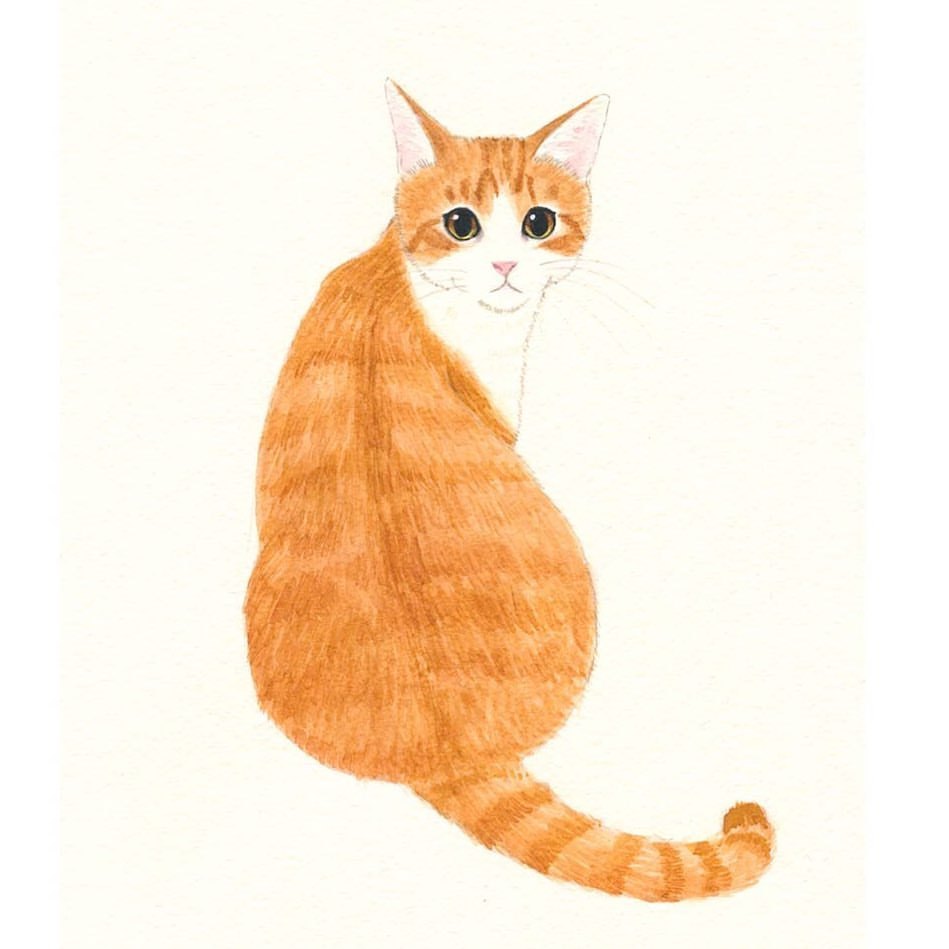 Takako Ide Illustration 茶白ちゃん 猫の振り返りポーズがとても好き 背中のラインとおしりの感じがたまらない