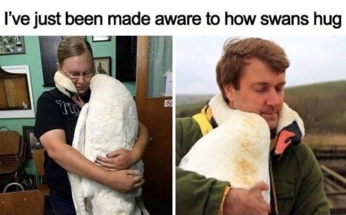 drohh13 - Skizzie is love, Skizzie is Life