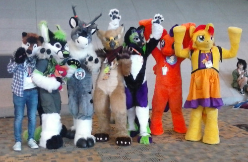 I didn’t take a lot of photos at BC, but i did grab a few with my shitty phone blur-o-cam.I love seeing fursuits there… it’s like, a little more special than seeing them at a furcon i guess xD There aren’t nearly as many, and they are my