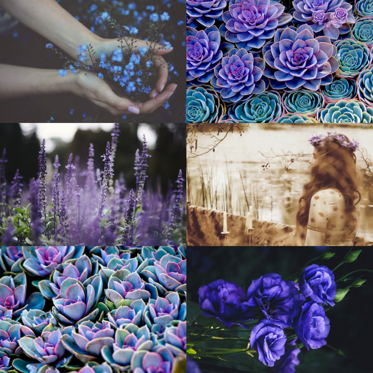 wingedwolves:  floral wreathed girls  