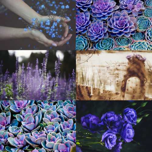 wingedwolves:  floral wreathed girls  