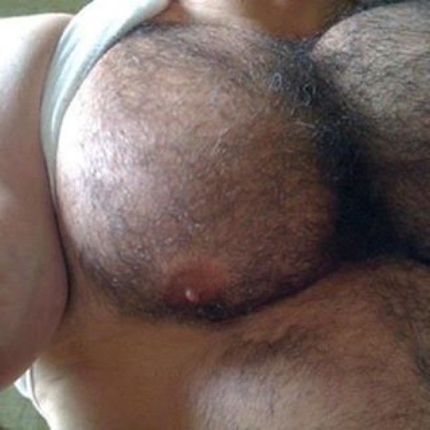 musclebear30:  love to lick a nipple, lick and touch a hairy big muscle chest , and