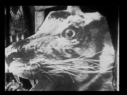 crumbargento: breathdeath Directed by Stan Vanderbeek - 1963 (15min) 