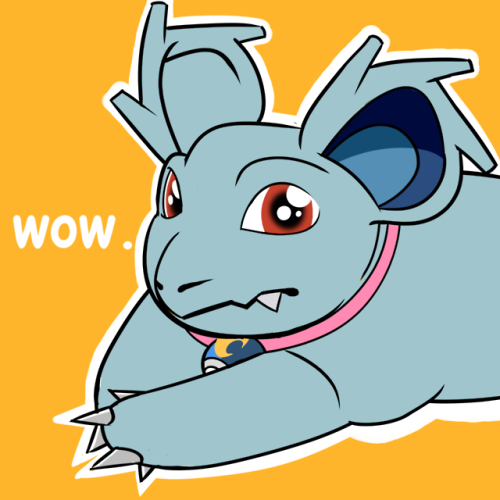 meet queeny, the nidorina that thinks its a dog! idk about you but doge queeny cracks me up.     