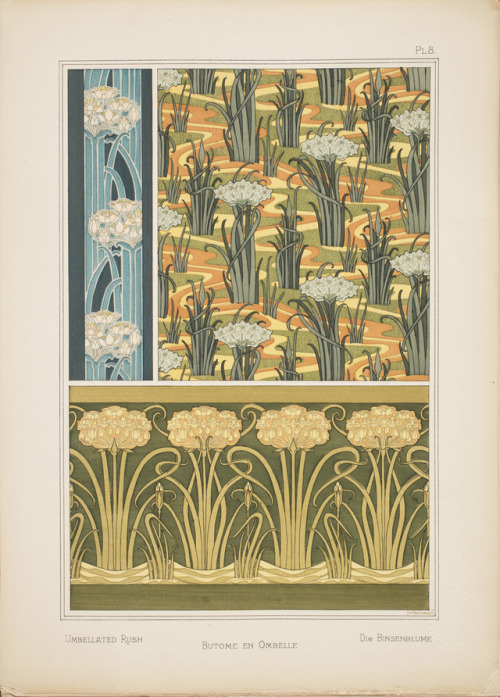  From Eugène Grasset’s La plante et ses applications ornementales,1897-9. 