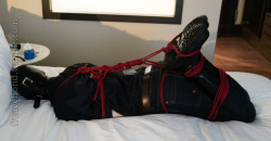 freavebond:Of course he completely failed the challenge, so without releasing the ropes I hogtied him tightly for 30 minutes … extremely lenient, I think…