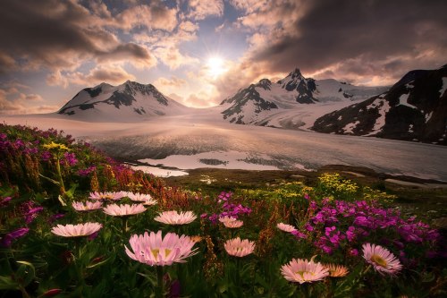 renamonkalou:  Colors of our nature | Marc Adamus 