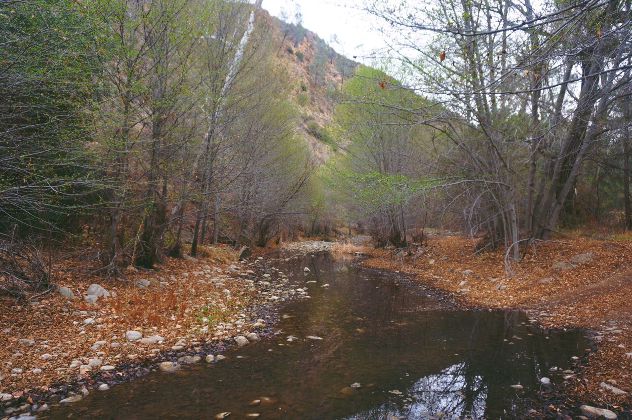 scntrx:  zacheway:  Backpacking with the wife.  Literally everything I want right