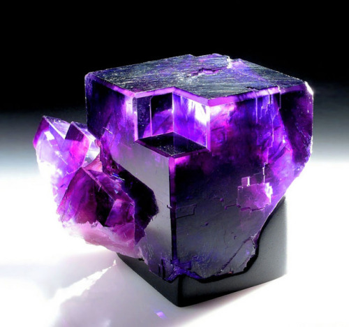 contagieu: sixpenceee: A chunk of fluorite. a chunk of WOW