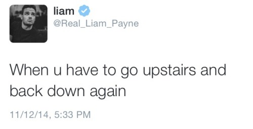 zaynsassismyhome:follow @real_liam_payne for more relatable tweets